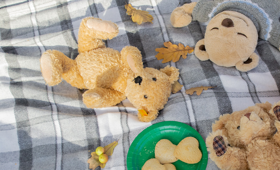 teddies on a picnic blanket