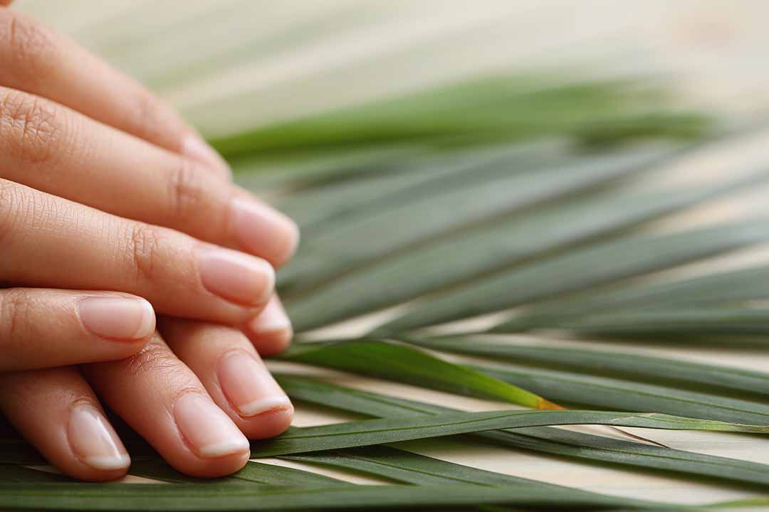 hands resting on palm leaves