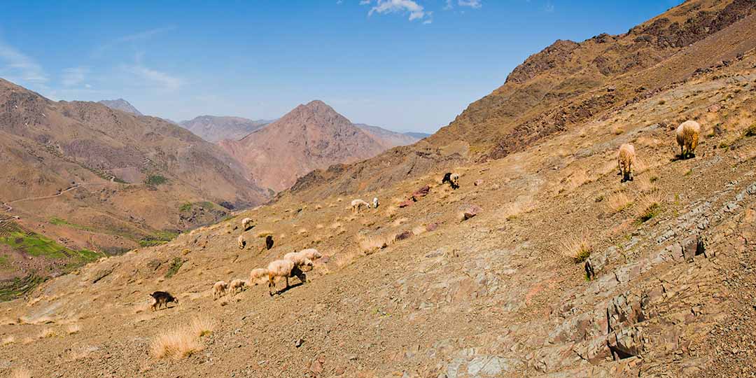 So the commandment is a challenge. To love those who betray you. Those who jeer. Those who wield the whips embedded with flint, hammer in the nails, pierce your side.