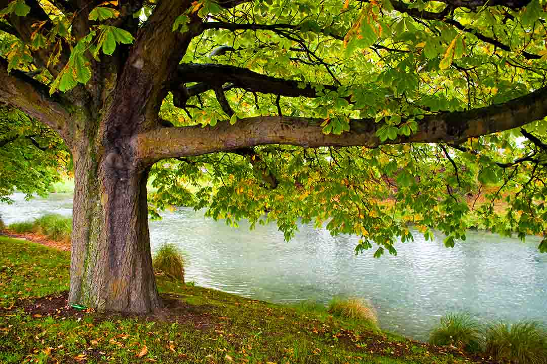 So the commandment is a challenge. To love those who betray you. Those who jeer. Those who wield the whips embedded with flint, hammer in the nails, pierce your side.