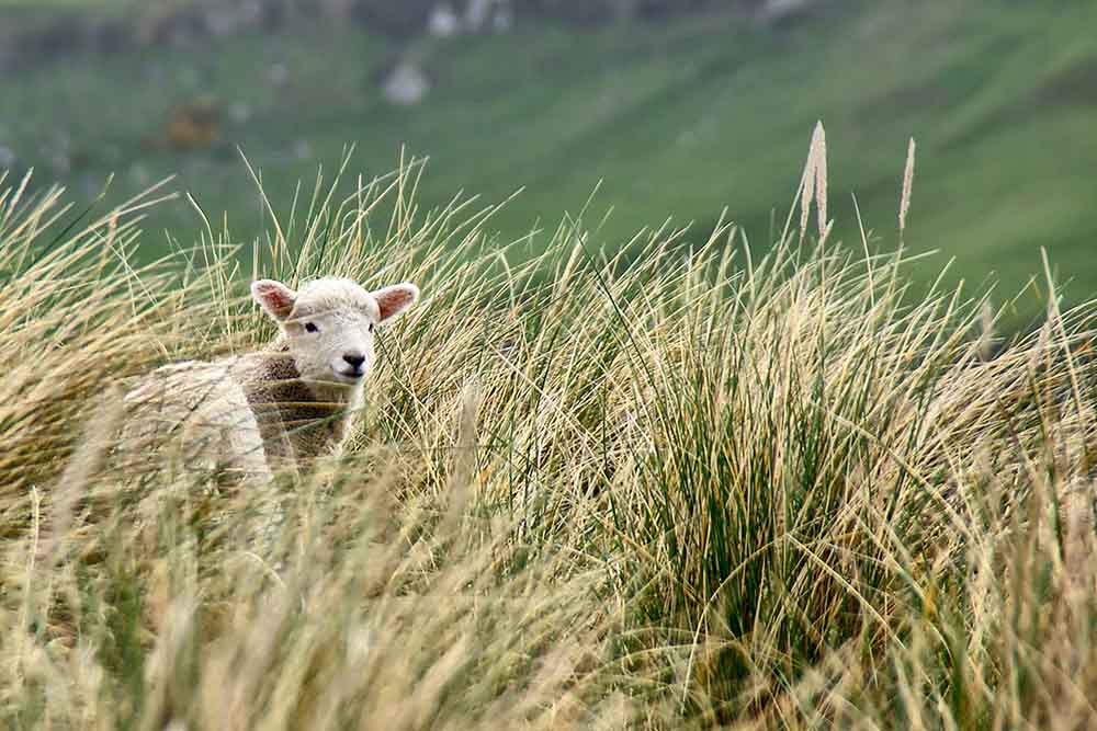 Praying Together – 11 September 2022