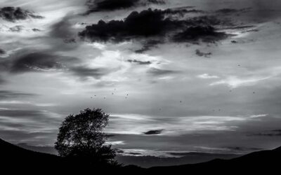 Praying Together 17th September 2023