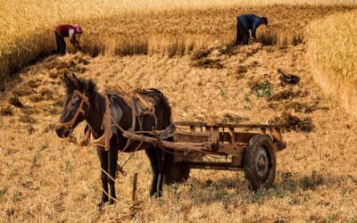 Praying Together January 14th 2024