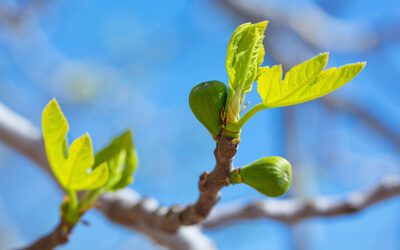 Praying Together 23rd March 2025