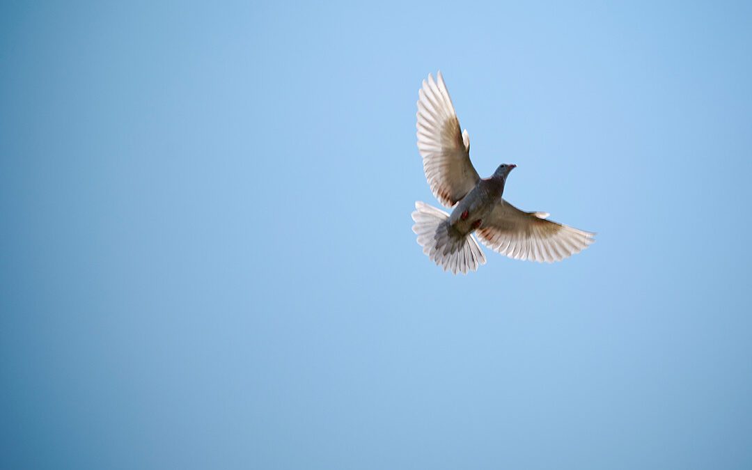 Praying Together 15th June 2025