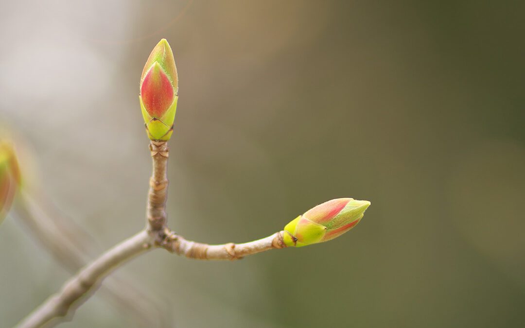 Praying Together 2nd November 2025