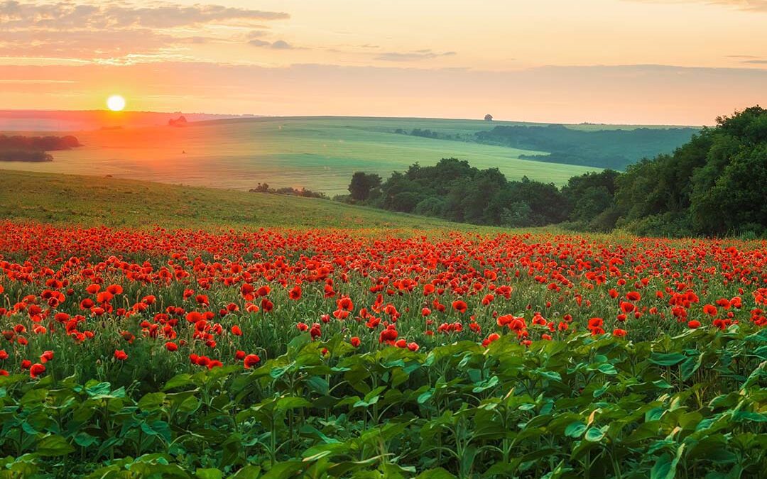 Praying Together 9th November 2025