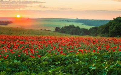 Praying Together 9th November 2025