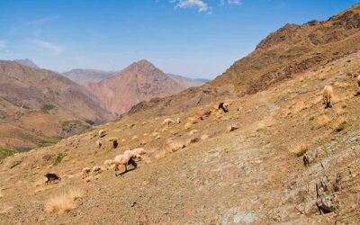 Praying Together February 1st 2026