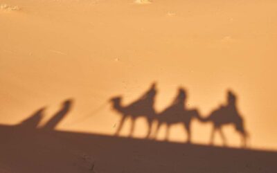 Praying Together 11 January 2026