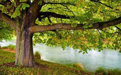 Praying Together 22nd February 2026