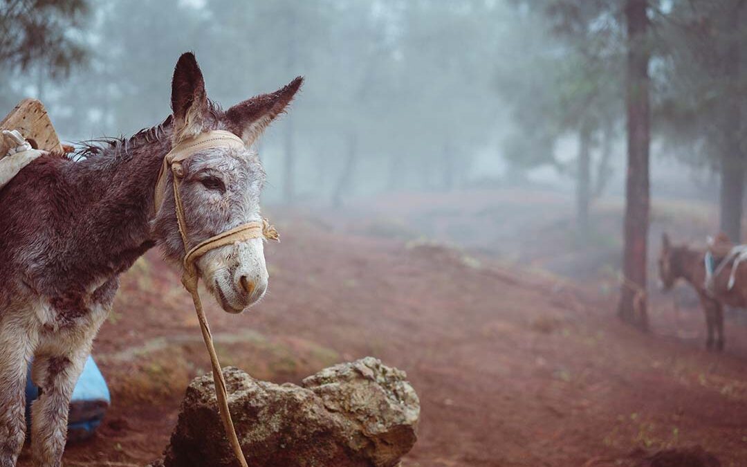 Praying Together March 29th 2026