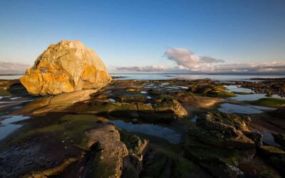 Praying Together 12th April 2026